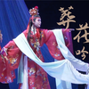 越剧《葬花吟》都道是金玉良姻 俺只念木石前盟下载
