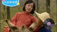 巧送联络图（上）下载
