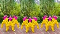 春风社区中老年健身操队第十二套组合操下载