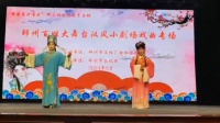 柳琴小戏《花园会》