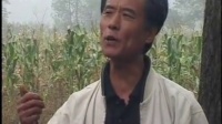民间小调《村长儿多欺负人》