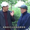 民间小调《傻子看家》下载