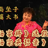 河南坠子长篇大书《杨家将》选段《杨宗英招