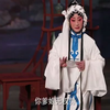 淮剧《赵五娘》苦命人坐书房泪如雨降下载