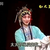 湖南衡州花鼓戏《挑女婿》第2集下载