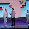 黄梅戏《皖山情》全本下载