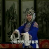 河南曲剧《生死恨》01集下载