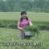 民间小调《二百五逮姑父》下载