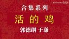 活的鸡3下载