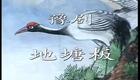 高清720P豫剧《地塘板》