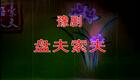 高清720P豫剧《盘夫索夫》陈大华