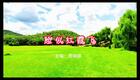 2024左脚舞广场舞 周晓丽 脸似红霞飞