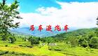 2024左脚舞广场舞 周晓丽 马车追汽车