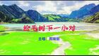 2024左脚舞广场舞 周晓丽 松毛树下一小对