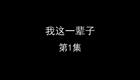 我这一辈子下载