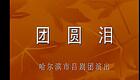 山东吕剧合集41.团圆泪下载