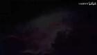 【音频】双槐树下载