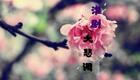 淮剧曲调唱段《千里送京娘·未开言不由人珠泪直冲》 施燕萍下载