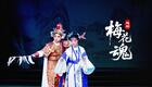 越剧《梅花魂》下载