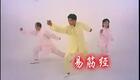 曲黎敏讲解八段锦(1、2式)下载