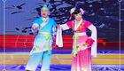 二人转小帽 《铺地锦》董玮 韩子平下载
