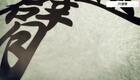 24式太极拳动作分解:20.第二十式 闪通臂下载