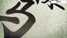 24式太极拳动作分解:12.第十二式 高探马下载