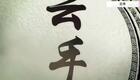 24式太极拳动作分解:10.第十式 云手下载