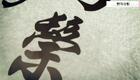 24式太极拳动作分解:2.第二式 野马分鬃下载