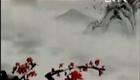 黄梅戏 寸草心 黄金峰 高清下载