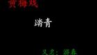 黄梅戏 踏青 吴琼 高清下载