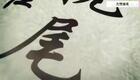 24式太极拳动作分解:7.第七式 左揽雀尾下载