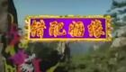 黄梅戏 错配婚缘 高清下载