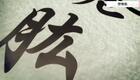 24式太极拳动作分解:6.第六式 倒卷肱下载