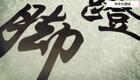 24式太极拳动作分解:15.第十五式 转身左蹬脚下载