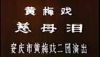 黄梅戏 慈母泪 高清下载