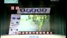 豫剧《芝麻官惊梦》金不换 张国朝