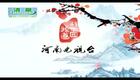 河南坠子《刘公传奇》18下载