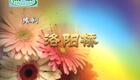 豫剧《洛阳桥》