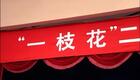 二人转经典选段28《刘姥姥还乡》李静