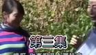 云南山歌剧《大嫂戏小叔》第二集