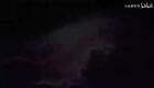 【音频】蜂麻~燕雀下载