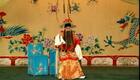 京剧对唱《四郎探母·坐宫》选段（耿其昌+李维康）下载