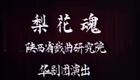 秦腔眉户44《梨花魂》（一）李瑞芳 贺林 苗苗 杨富学 梁才 杭立文下载