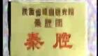 秦腔眉户09《杀狗》高登云（60岁）王婉丽 杨金凤（58岁）下载