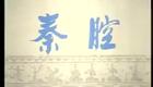 秦腔眉户10《杀狗》宋上华 郭朝中 茹甲华（司鼓：栗怀蔭 板胡：张保华）下载