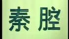 秦腔眉户25《三娘教子》王玉琴 李正斌（63岁）于惠兰（司鼓：黄友民 板胡：吕艺）下载