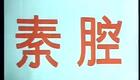 秦腔眉户31《辕门斩子》刘茹慧 王玉琴 帖秉义 龚彩莲 安永孝 张友震 赵虹（司鼓：江魏 板胡：陈建如）下载